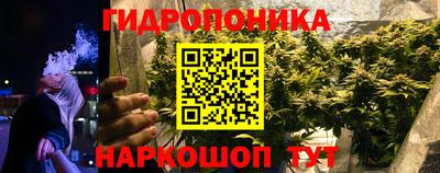 стаф Лесосибирск