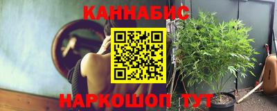 стаф Лесосибирск