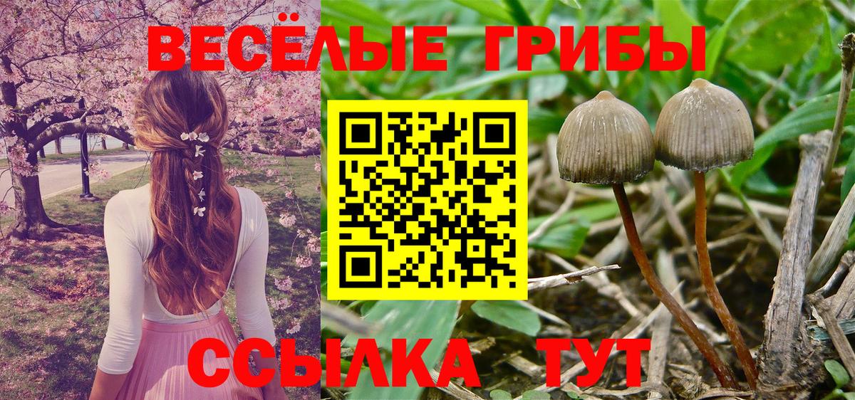 Псилоцибиновые грибы мухоморы  Галлюциногенные грибы MAGIC MUSHROOMS  Волжский  Вход с VPN 